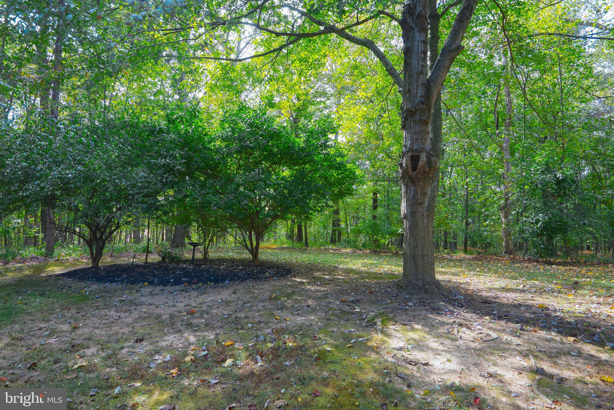 1480 Bollinger Road Westminster, MD 21157 - Photo 54 of 58 Enjoy a park like setting, serene and private.