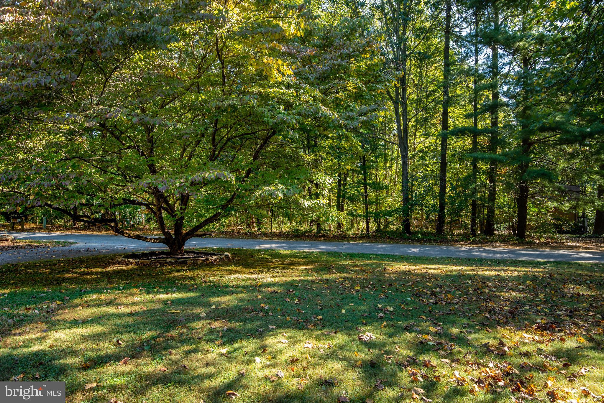 1480 Bollinger Road Westminster, MD 21157 - Photo 8 of 58 Gallery Image 8