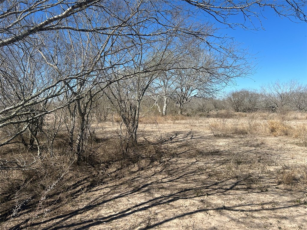 179 County Road Alice, TX 78332 - Photo 15 of 20 Gallery Image 15