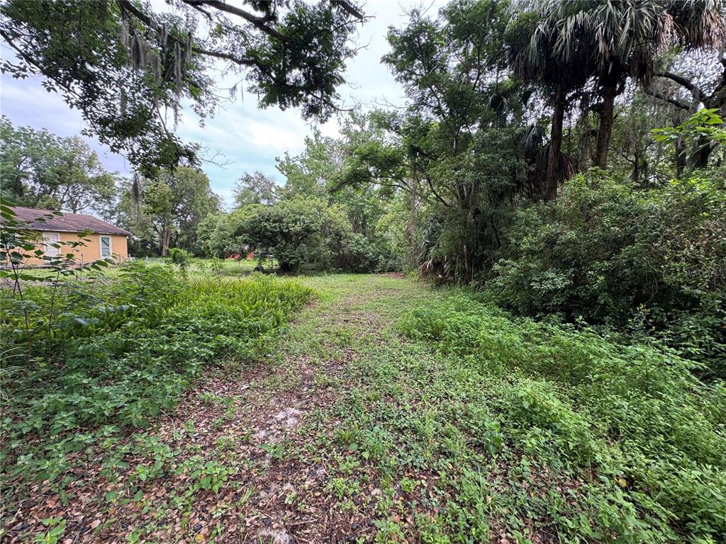 121 East Street Altamonte Springs, FL 32701 - Photo 1 of 4 a view of a big yard with plants and large trees