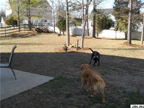 1314 Piney Church Road Concord, NC 28025 - Photo 4 of 6 a view of a yard with a house