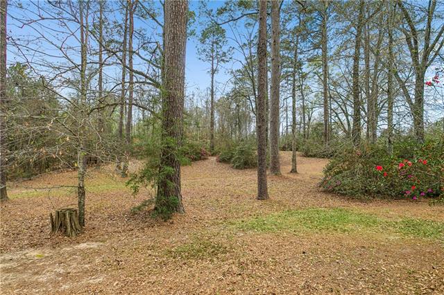 18288 M Williams Road Kentwood, LA 70444 - Photo 13 of 21