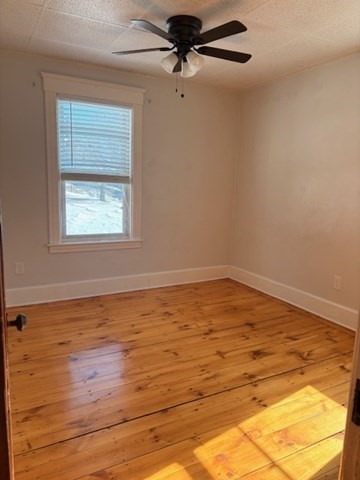 11 Dupont Street, Unit 2 Worcester, MA 01604 - Photo 3 of 6 a view of a room with wooden floor and a ceiling fan