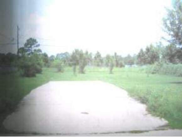 a view of a big yard with large trees