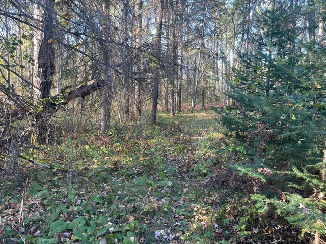 $139,900 | 53144 Oak Leaf Road, Kerrick, MN 55756