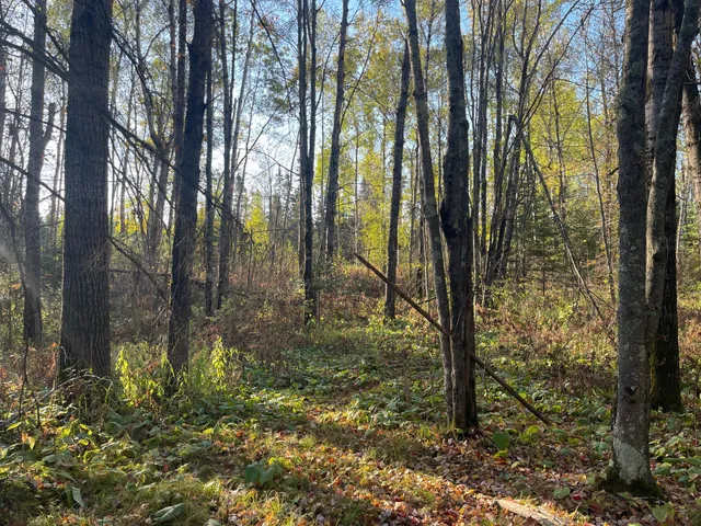 $139,900 | 53144 Oak Leaf Road, Kerrick, MN 55756