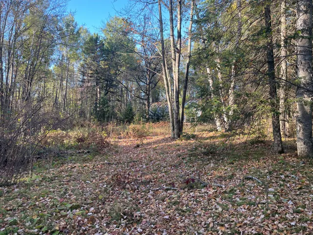 $139,900 | 53144 Oak Leaf Road, Kerrick, MN 55756