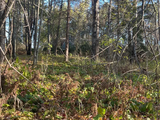 $139,900 | 53144 Oak Leaf Road, Kerrick, MN 55756