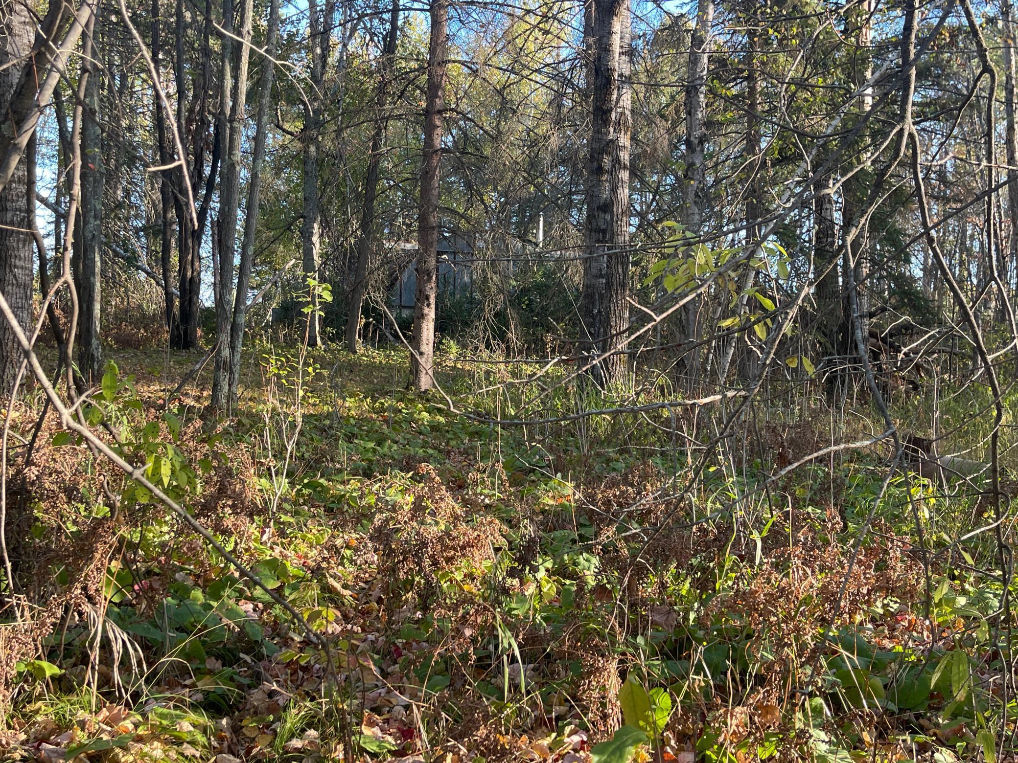 53144 Oak Leaf Road Kerrick, MN 55756 - Photo 9 of 20