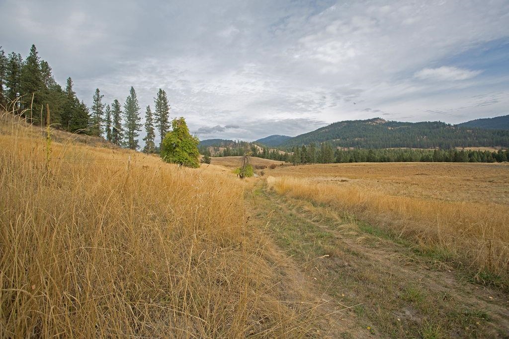 2750 House Road Kettle Falls, WA 99141 - Photo 38 of 44 Gallery Image 38
