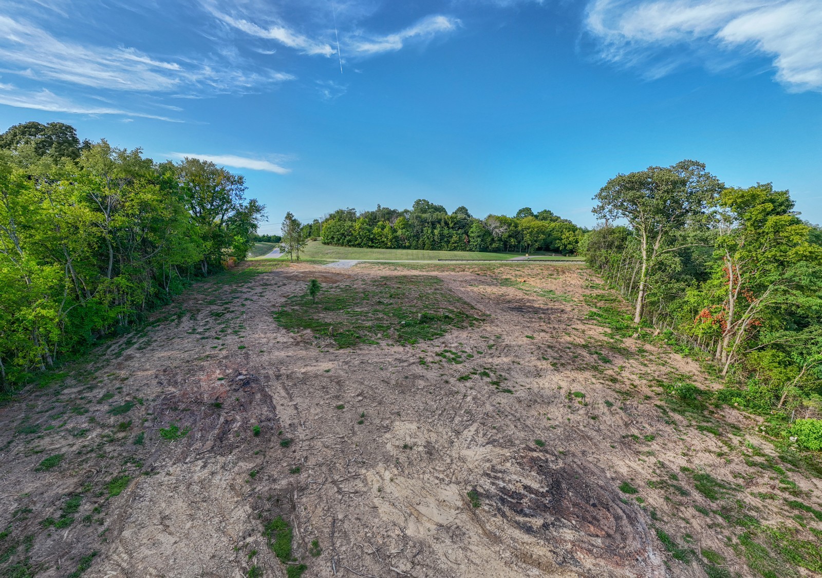 0 Murfreesboro Road College Grove, TN 37046 - Photo 4 of 11 a view of a yard with a tree