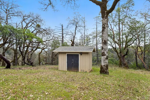 a view of a pathway both side of grassy field with shrub