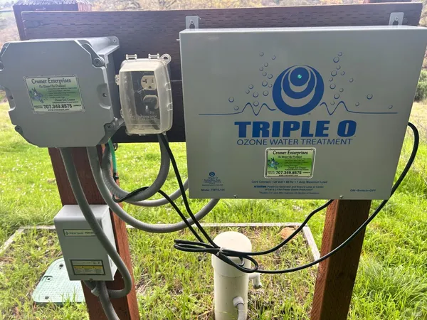 a view of a yard with plants and trees