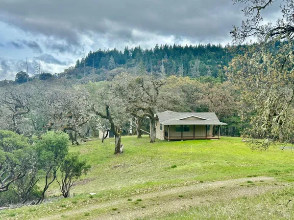 a view of a field with a tree in the background