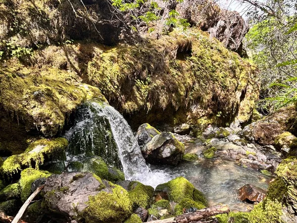 a view of an outdoor space and a yard
