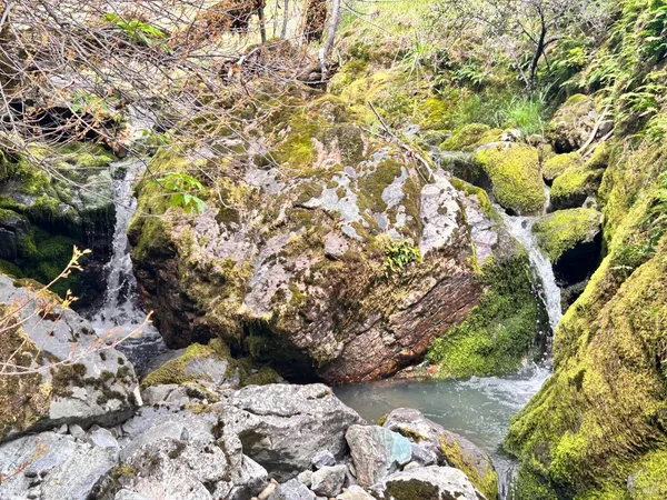 a view of a lake with a mountain in the background
