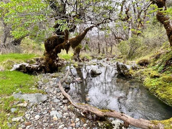 $475,000 | 8401 Brandywine Drive, Ukiah, CA 95482