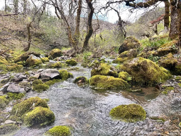 $475,000 | 8401 Brandywine Drive, Ukiah, CA 95482