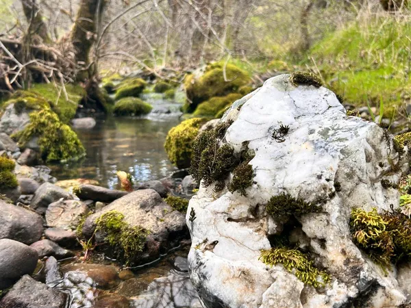 $475,000 | 8401 Brandywine Drive, Ukiah, CA 95482