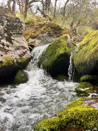 $475,000 | 8401 Brandywine Drive, Ukiah, CA 95482