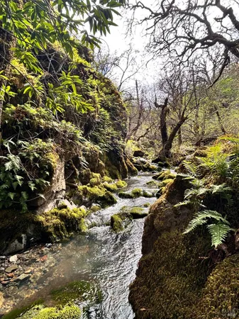 $475,000 | 8401 Brandywine Drive, Ukiah, CA 95482