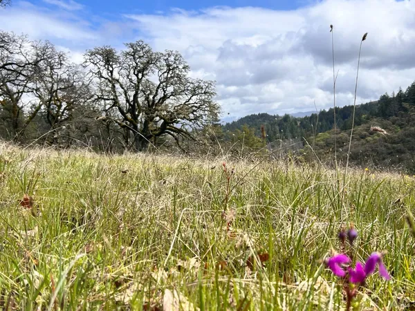 $475,000 | 8401 Brandywine Drive, Ukiah, CA 95482