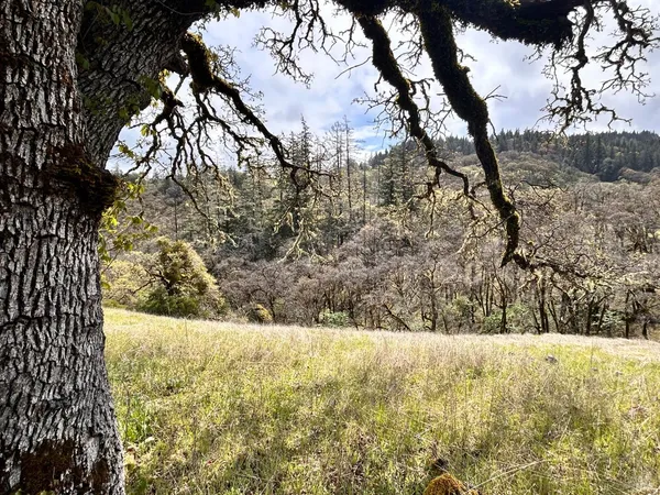 $475,000 | 8401 Brandywine Drive, Ukiah, CA 95482