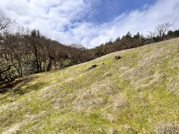 $475,000 | 8401 Brandywine Drive, Ukiah, CA 95482