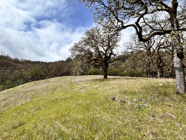 $475,000 | 8401 Brandywine Drive, Ukiah, CA 95482