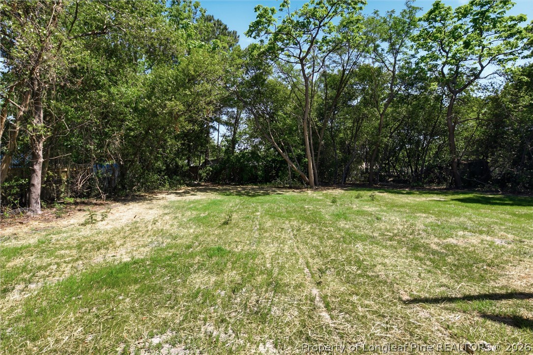 219 South 5th Street Spring Lake, NC 28390 - Photo 49 of 49 Nice size backyard