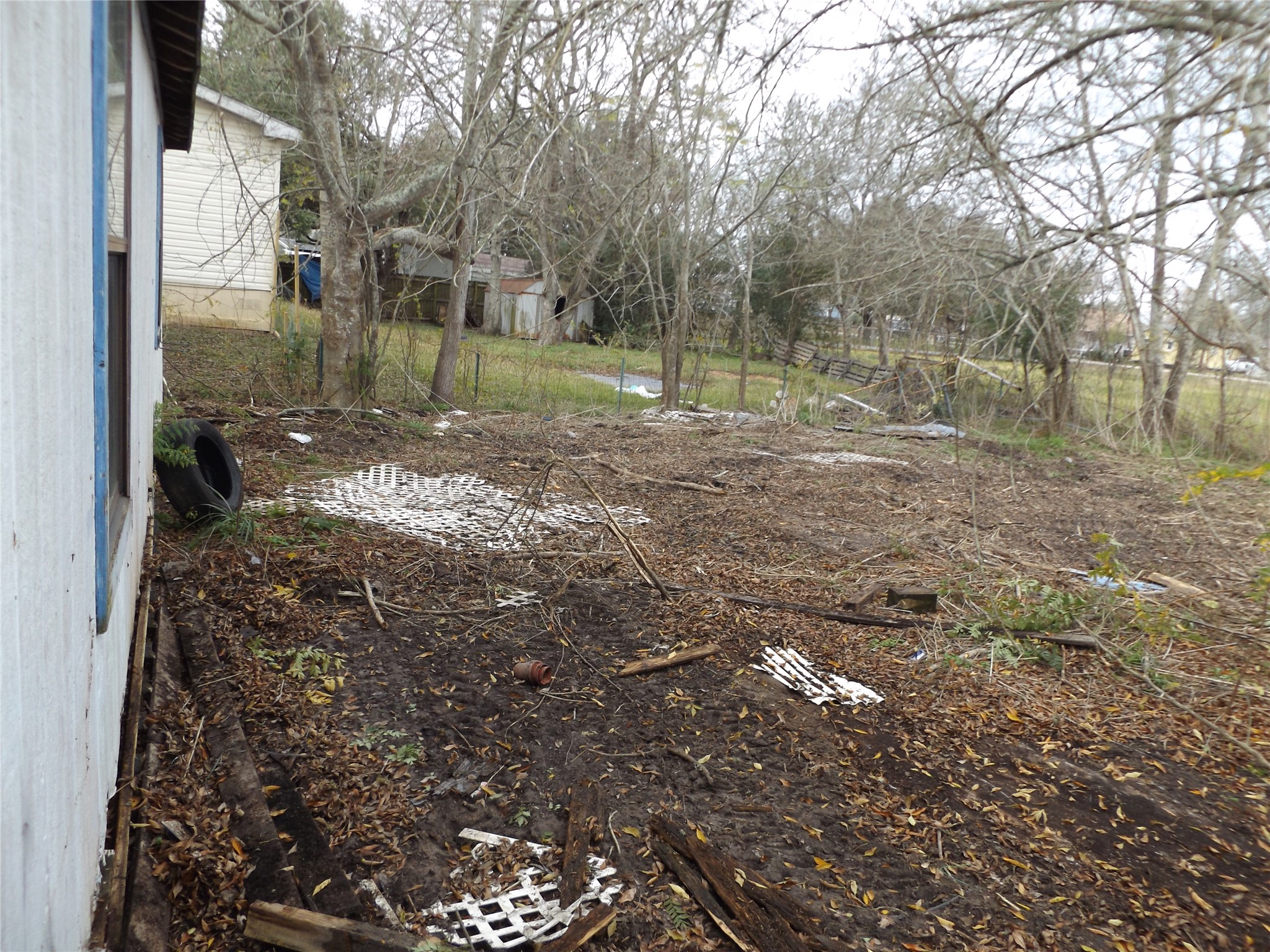 437 8th Street Dickinson, TX 77539 - Photo 9 of 12 a view of a tree in a yard