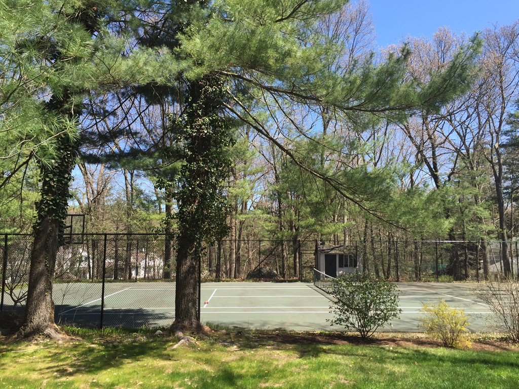 51 Meadowbrook Road Weston, MA 02493 - Photo 7 of 9