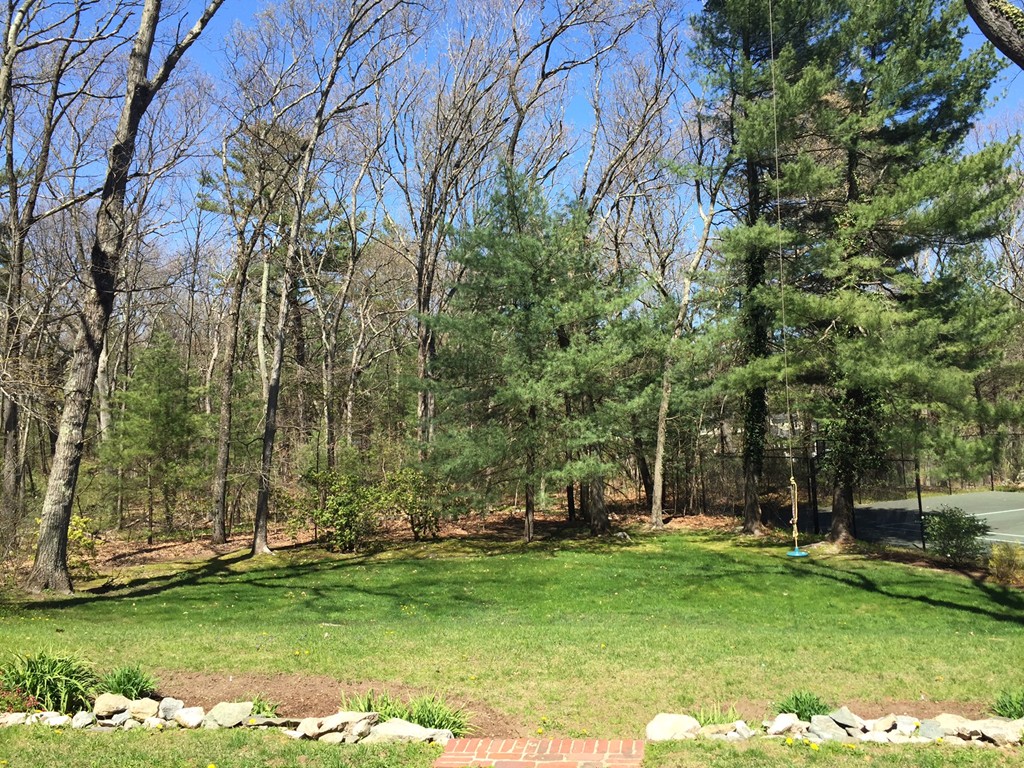 51 Meadowbrook Road Weston, MA 02493 - Photo 8 of 9