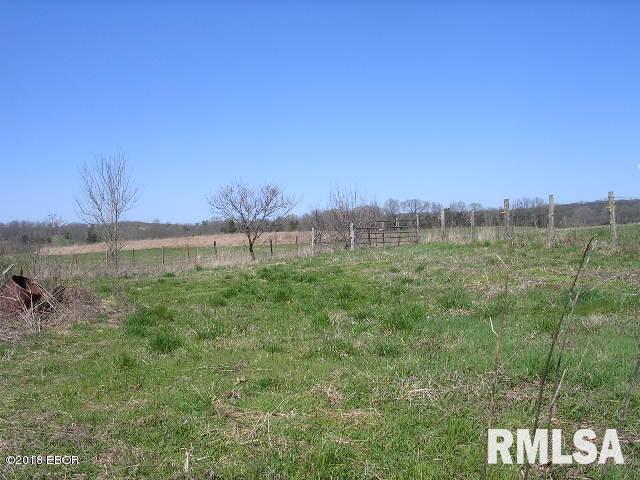 5650 Buncombe Road Vienna, IL 62995 - Photo 6 of 30