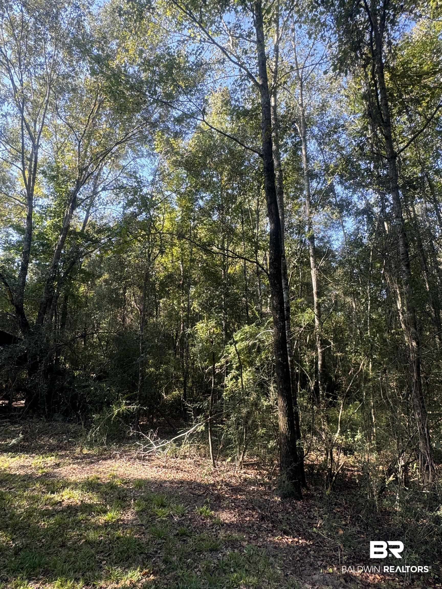 1067 County Road 7 Range, AL 36473 - Photo 16 of 30 View of landscape