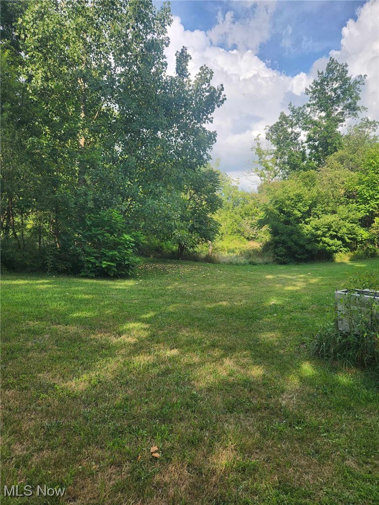 7481 Lafayette Road Lodi, OH 44254 - Photo 12 of 13 View of yard
