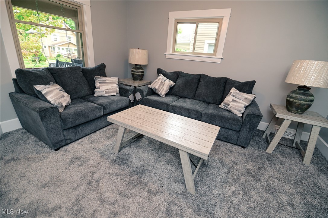 6031 Runkle Avenue Ashtabula, OH 44004 - Photo 20 of 50 Gallery Image 20