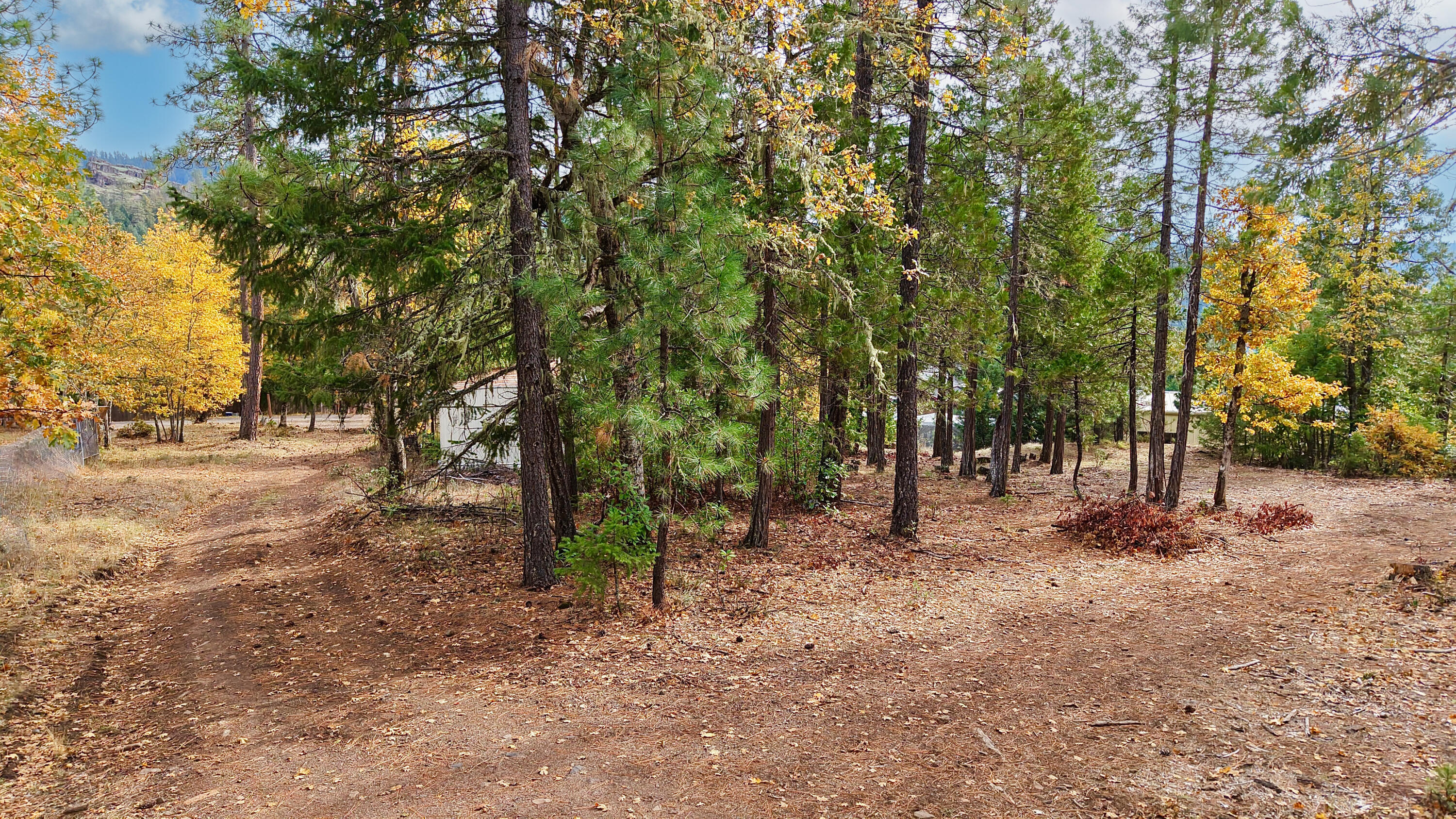 121 Horse Ranch Road Prospect, OR 97536 - Photo 16 of 21 Property