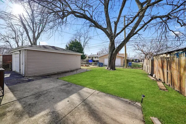 a view of a backyard with a large tree