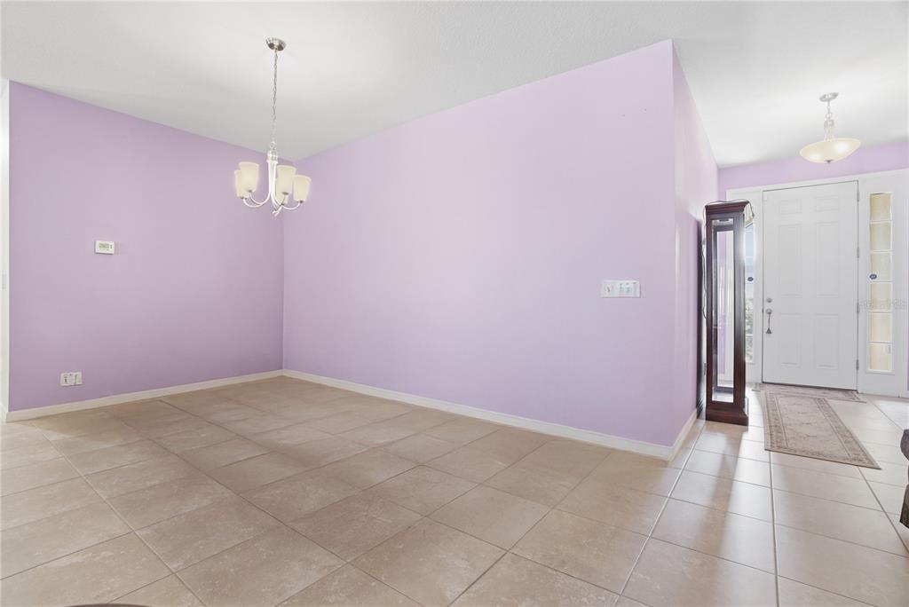 10420 Pleasant Spring Way Riverview, FL 33578 - Photo 8 of 32