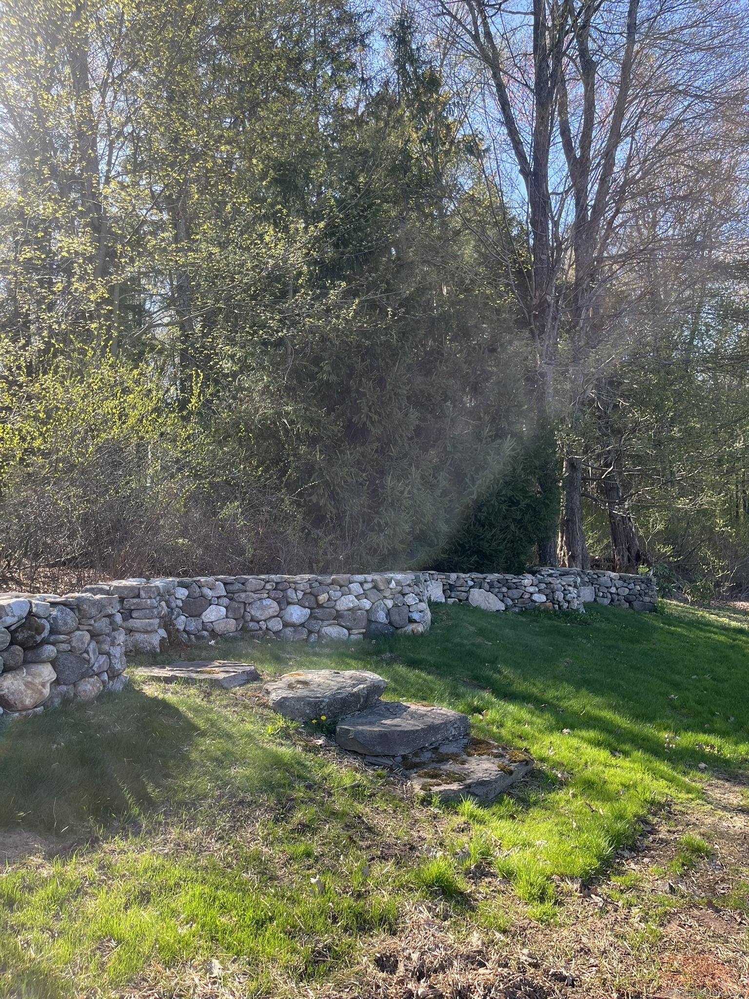 12-13 14 Mirey Dam Road Middlebury, CT 06762 - Photo 2 of 2