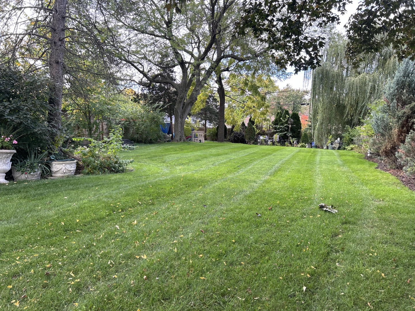 a view of an outdoor space and yard
