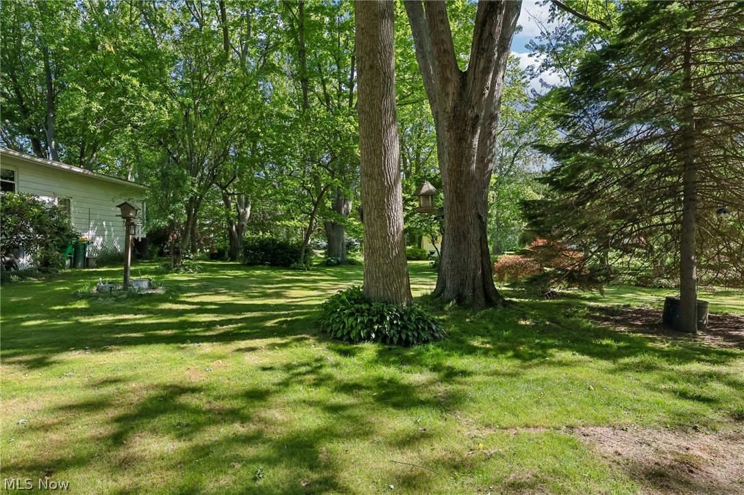 2428 Antioch Road Perry, OH 44081 - Photo 42 of 46 Spacious backyard featuring a manicured lawn, mature deciduous trees, and evergreen trees