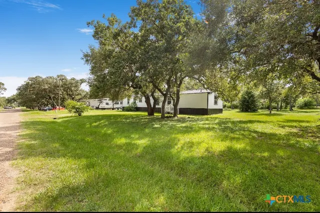 a view of a park with large trees