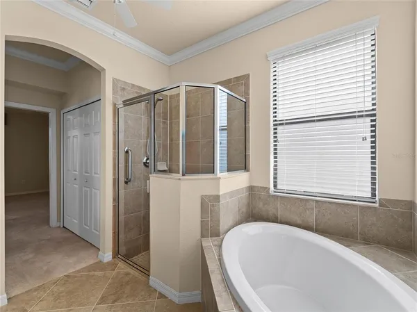 a bathroom with a bathtub and a shower