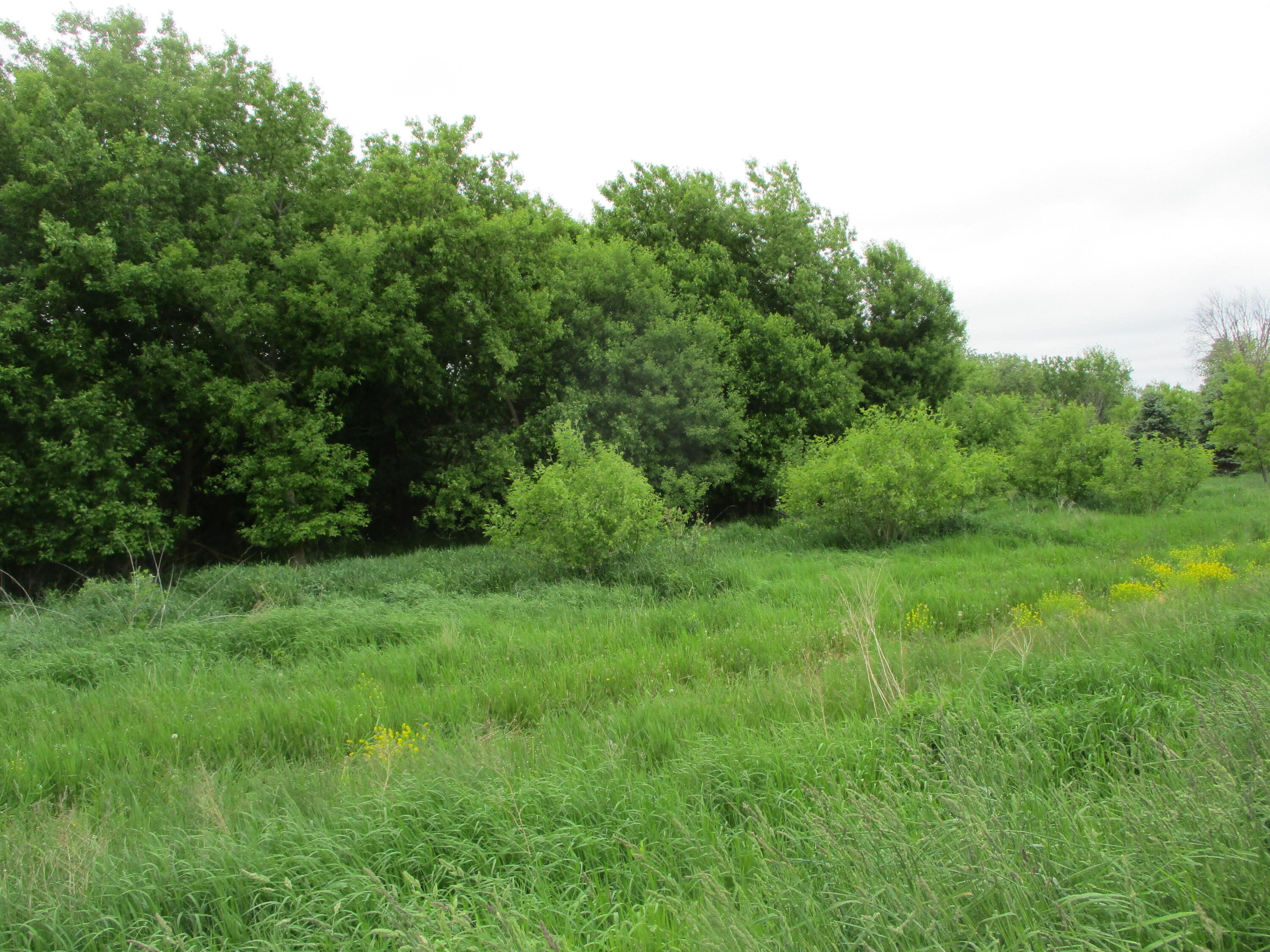 2454 Johnson Road Belding, MI 48809 - Photo 1 of 12 off blktop Johnson Rd