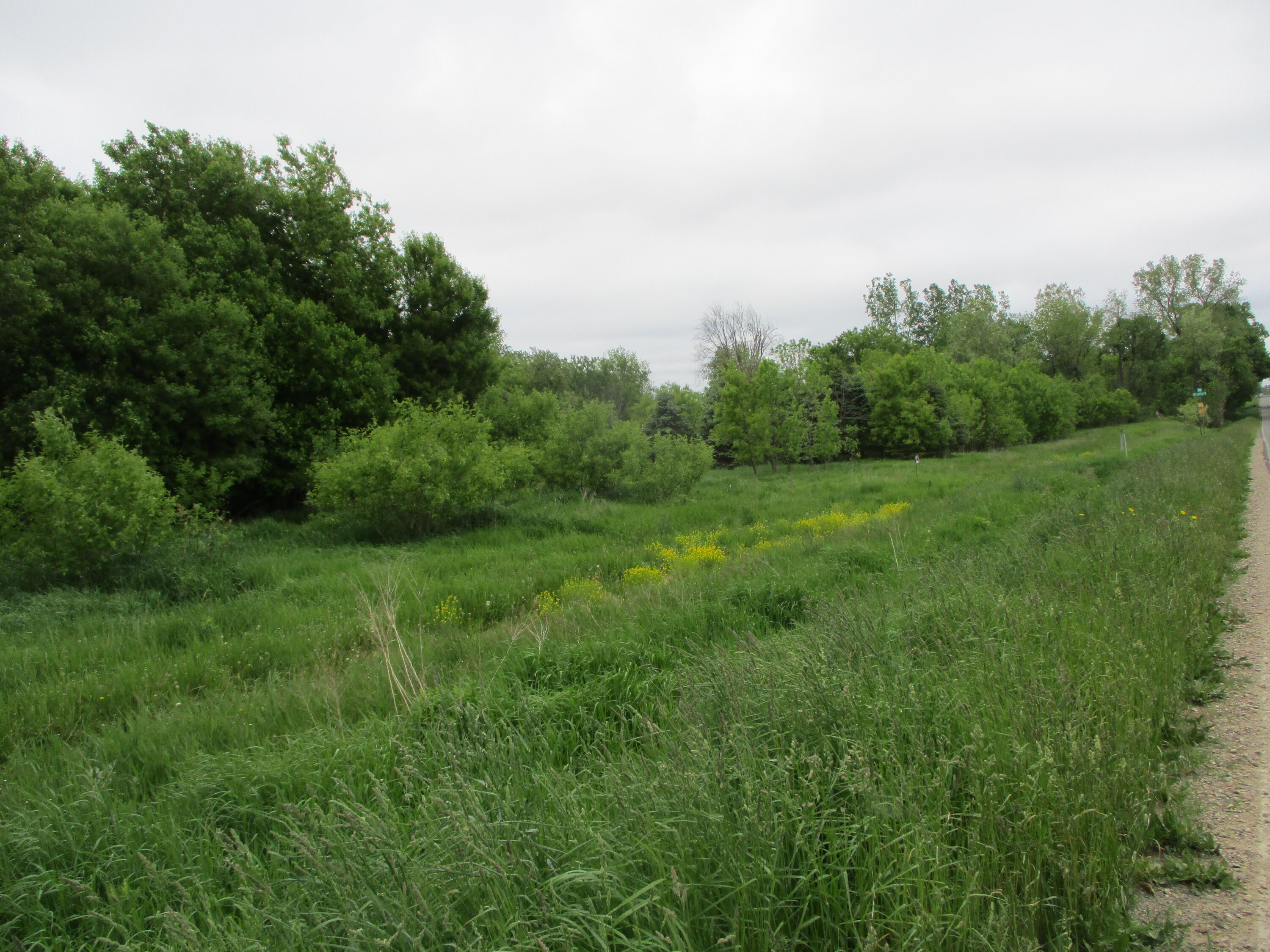 2454 Johnson Road Belding, MI 48809 - Photo 11 of 12 IMG_5694