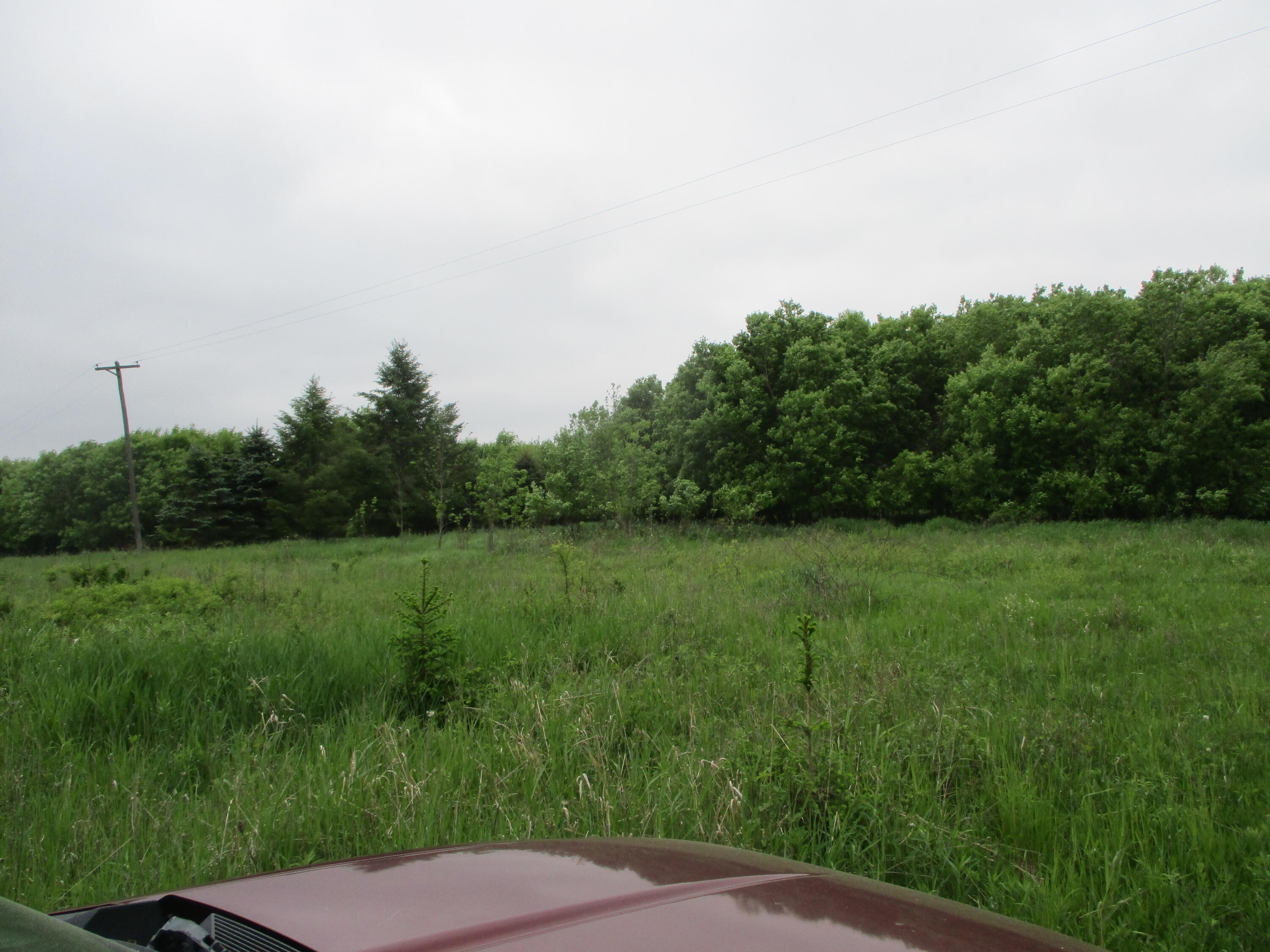 2454 Johnson Road Belding, MI 48809 - Photo 2 of 12 IMG_5685