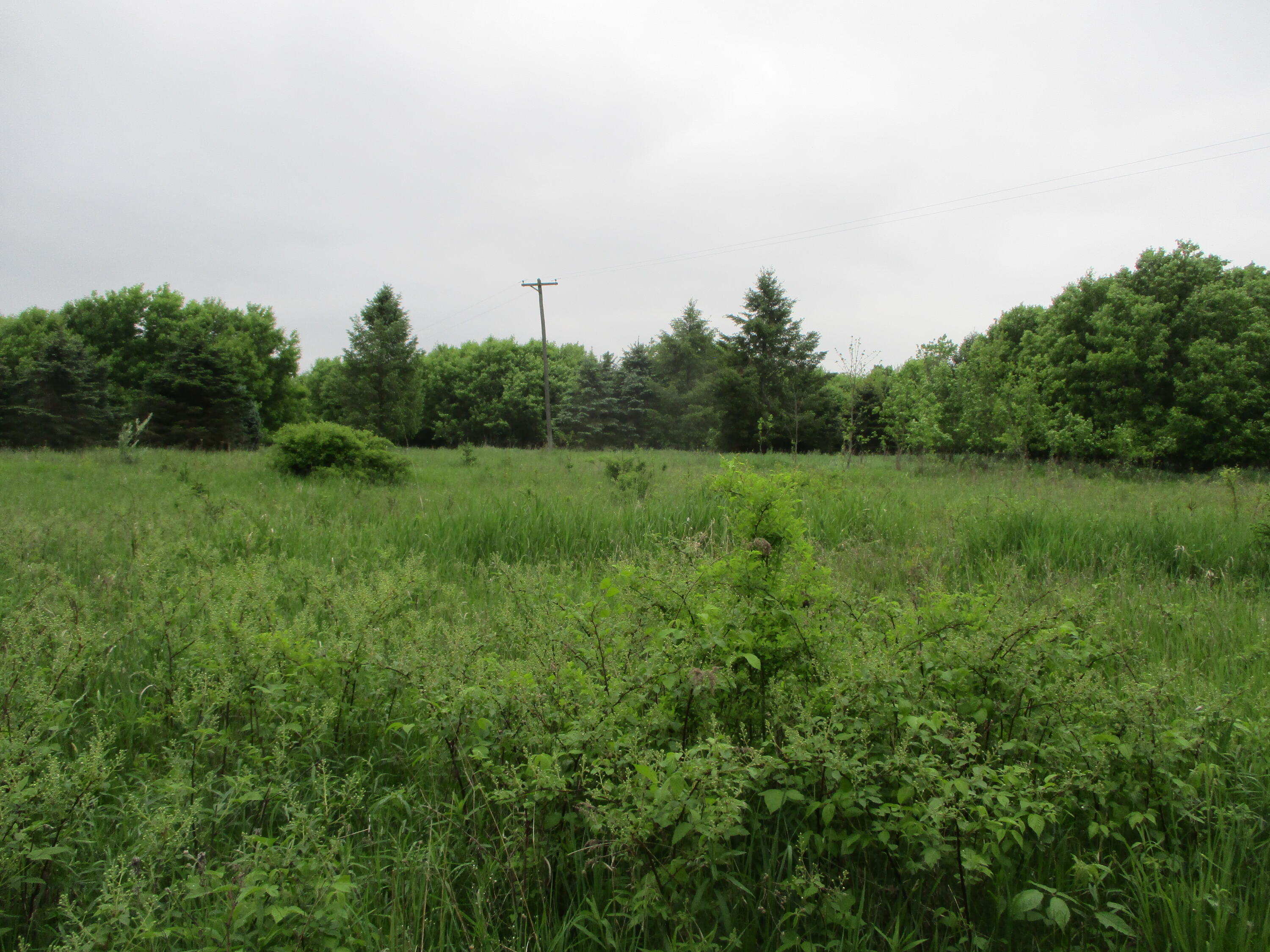 2454 Johnson Road Belding, MI 48809 - Photo 4 of 12 IMG_5687