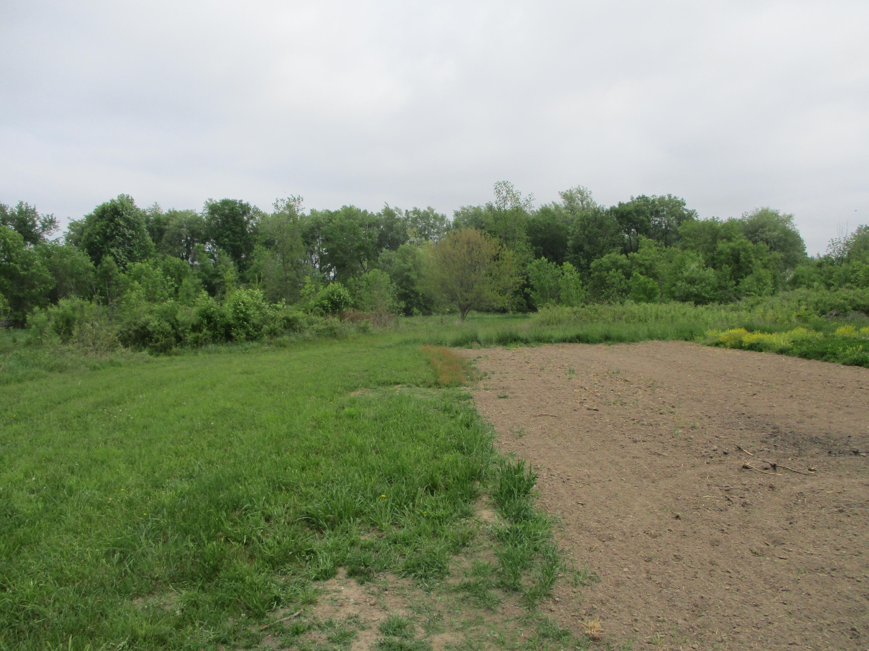 2454 Johnson Road Belding, MI 48809 - Photo 7 of 12 IMG_5690